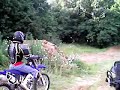 First backflip attempt, EVER!!! First backflip attempt, EVER!!!
