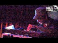 The Bays