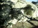 MOV06415.MPG
