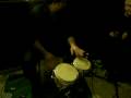 videos de fiesta casino carbonero