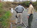 9mm with glock stage 1