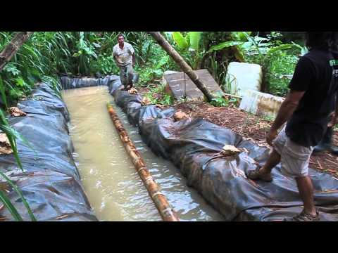 guadua - Video que documenta el primer taller de manejo y uso sustentable en el trópico de la Guadua angustifolia en junio de 2010 en Utuado, Puerto Rico. El taller f...