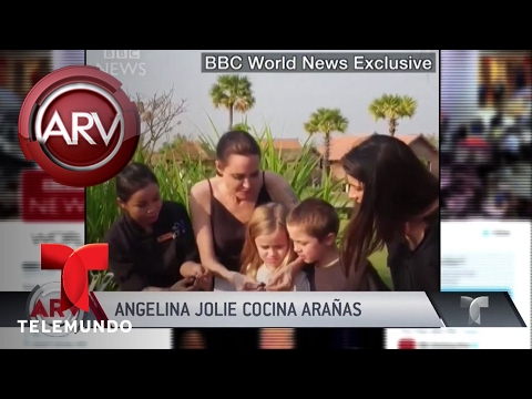 Angelina Jolie come arañas y escorpiones y se los da a sus hijos