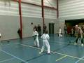 dylan vs bjorn karate