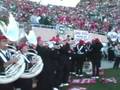 TBDBITL at MSU
