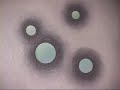 Weinstein Gallery Video--Rudolf Bauer, Art of Tomorrow Today Weinstein Gallery Video--Rudolf Bauer, Art of Tomorrow Today