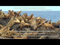 Gwaii Haanas National Marine Conservation Area