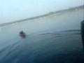 videos de wild kano varen