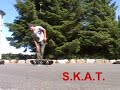Game Of SKATE
