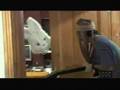 Kenny Vs Spenny-Spenny On Acid