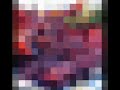 Animal Collective- #1