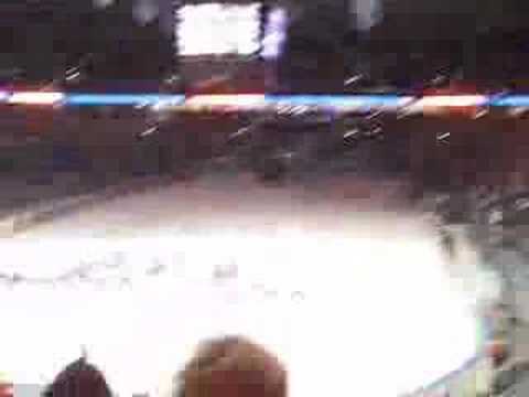 Adler Mannheim - ERC Ingolstadt ...