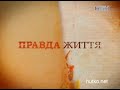 Видеоновость "Правда жизни" НТН | 7 декабря 2011 | Чудо техники | онлайн | Часть 2 (конец)