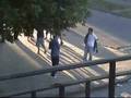 videos de agresión y amenazas