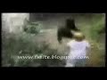 Vedio Cat Funny