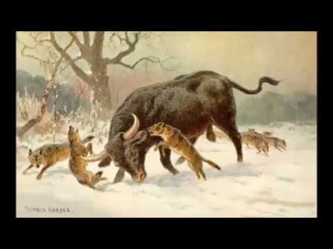 extinct - It's called