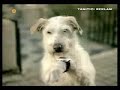 video izle