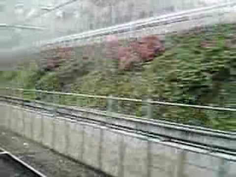 Train ride in Tokyo,Japan (Keio Line)