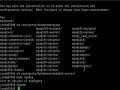 MySQL Install FreeBSD