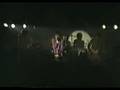 The Roosters-Fly