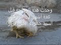 فيديو