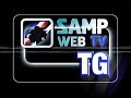 web tg del 14 agosto 2008