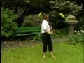 Learn poi - Low wave - Swing poi