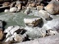See Video