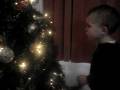 Laiken && the xmas tree