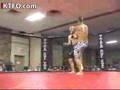 10-Second-MMA-Knocko