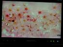 LOOX P70YN SCREENSAVER LOOX P70YN SCREENSAVER