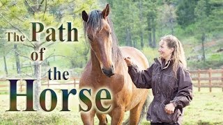 Healing with horses
