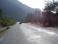 c'est quoi ce trafic! c'est katmandou!!! vive la campagne au nepal et ses beaux camions (et vaches sacrees ;))