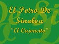 El Cajoncito - El Potro De Sinaloa