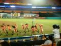 Florida Marlins Mermaids "If You Seek Amy"