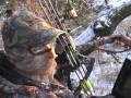 videos de Taxes in a Treestand?