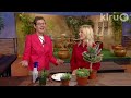 Succulent salvage: Central Texas Gardener