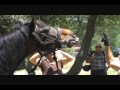 Horse and Pet Play Day at Hidden Valley