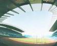 mcfc