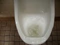 walmart urinal flushing