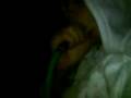 argile in the car