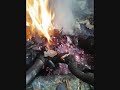 パンと紅茶とキャベツの油炒め(オリジナルそんぐ)