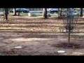 Disc Golf at Kilborne