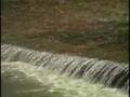 videos de The Major Natural Parks of Europe  Part 09