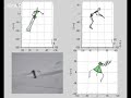 Body sensors capture a skier's twists and turns