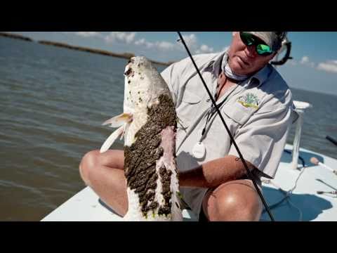 BP oil disaster - The oil companies don't need your help, but the communities of the Gulf do. Help us hold big oil accountable. Visit http://www.nrdc.org/gulfspill.