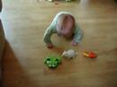 1st Crawl 1st Crawl