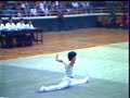 1981 China National Wushu Championships 1981 China National Wushu Championships