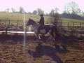 Jemma and indie