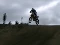 Bunga Scrub